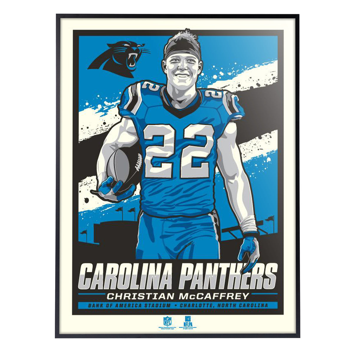 Carolina Panthers Bank of America Stadium Framed Print