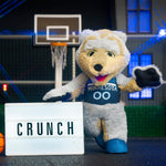 Bleacher Creatures Minnesota Timberwolves Crunch 10" Mascot Plush Figure