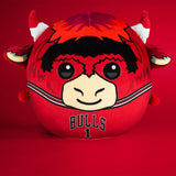 Sleep Squad Chicago Bulls Benny the Bull 12" Mascot Kiri Cloud Plushie