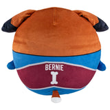 Sleep Squad Colorado Avalanche Bernie 12" Mascot Kiri Cloud Pillow Plushie