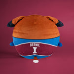 Sleep Squad Colorado Avalanche Bernie 12" Mascot Kiri Cloud Pillow Plushie